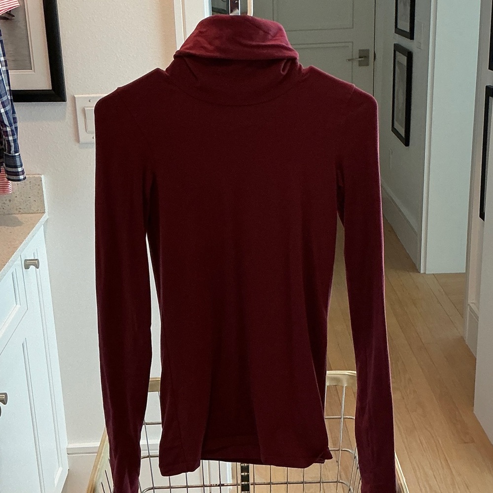 Theory Deep Red Turtleneck Top